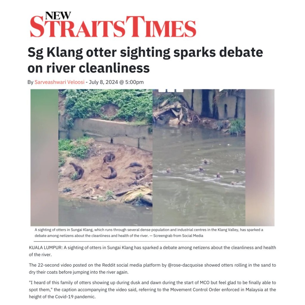 Sg Klang Otter Sighting Sparks Debate On River Cleanliness